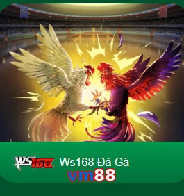 vm88